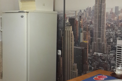 3-я квартира в ЦЕНТРЕ по ул.Ленина