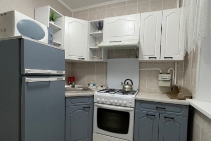 Уютная, чистая двухкомнатная квартира на 3 человека.