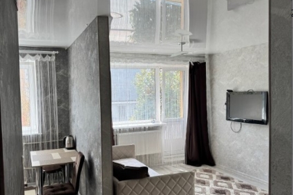 Квартира в центре города на сутки и часы