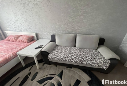 Квартира 1 комн. ЕСТЬ ДРУГИЕ КВАРТИРЫ,